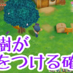 果樹が実をつける確率